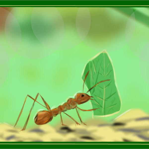 The Ant Drawings SketchPort