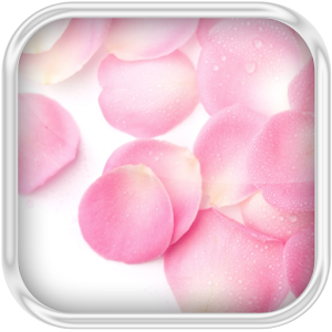 3D Petals Water Effect LWP 1.1