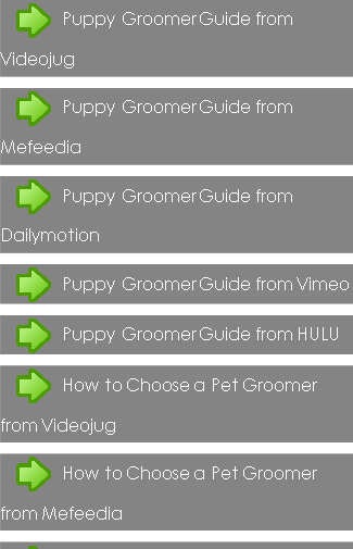Puppy Groomer Guide