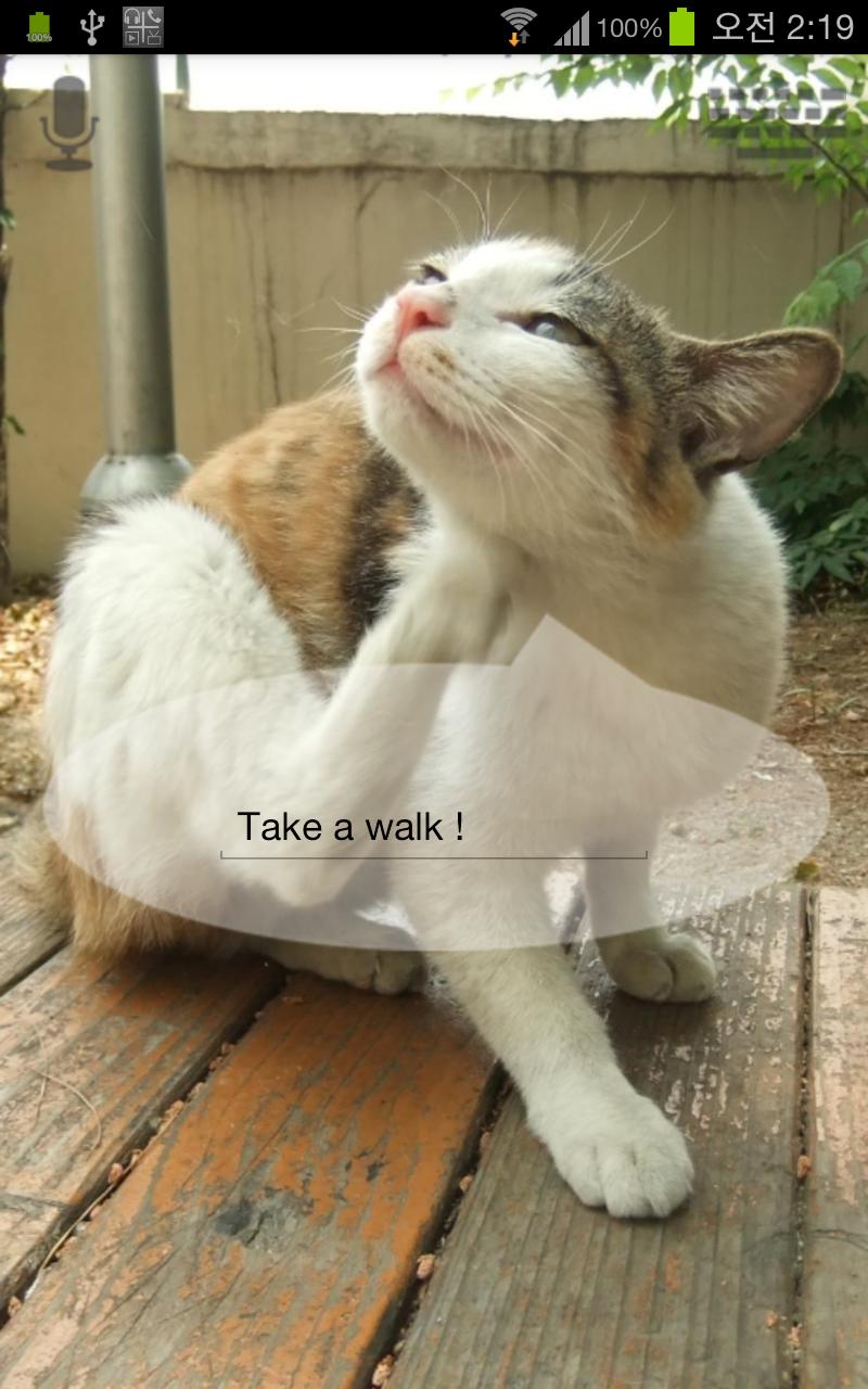 Talkicat Pro Screen 2