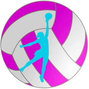 Netball Shots for PC and MAC
