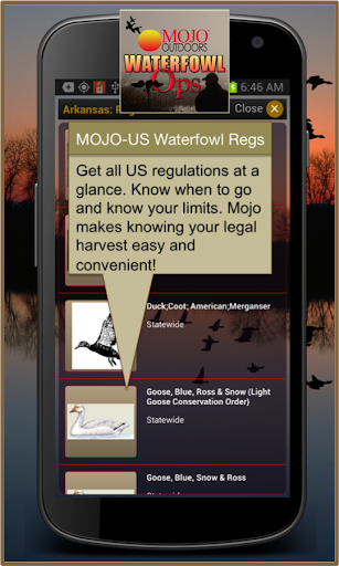 MOJO Waterfowl Ops GPS Lite