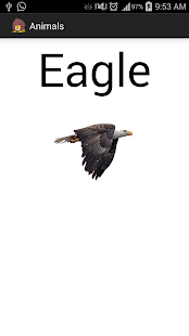 Lastest Loin APK for Android