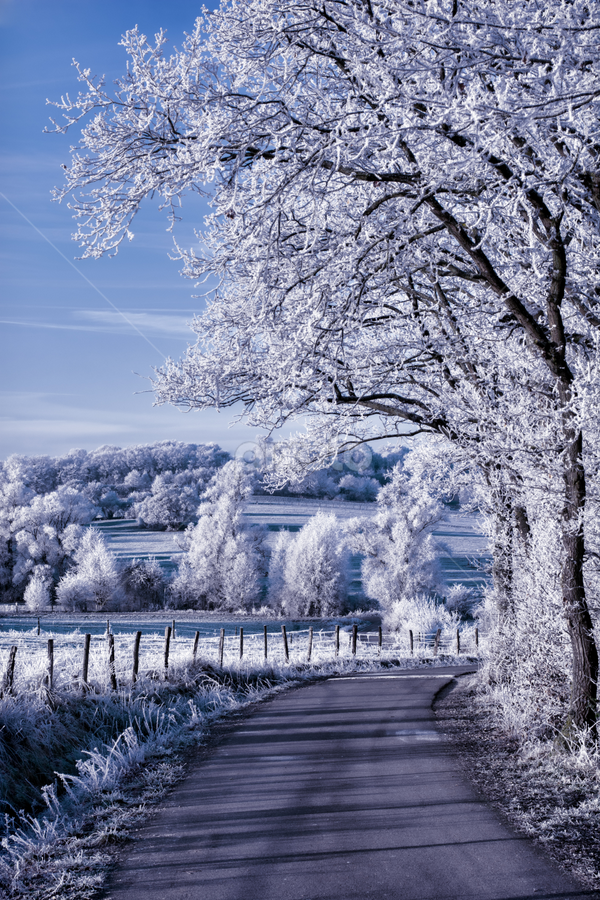 Winter by Stankowski Daniel - Landscapes Prairies, Meadows & Fields