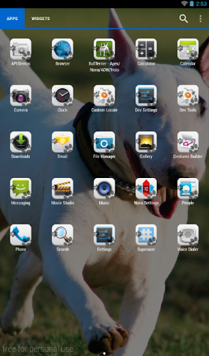免費下載個人化APP|Bull Terrier Theme - Nova/ADW app開箱文|APP開箱王