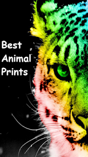 Best Animal Print Wallpapers