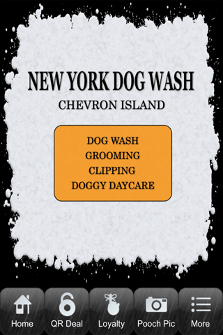 New York Dog Wash