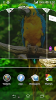 Parrot HD Wallpaper Live APK スクリーンショット画像 #7