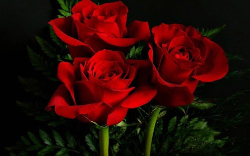 How to install 3D Rose Live Wallpaper 1.0 mod apk for laptop