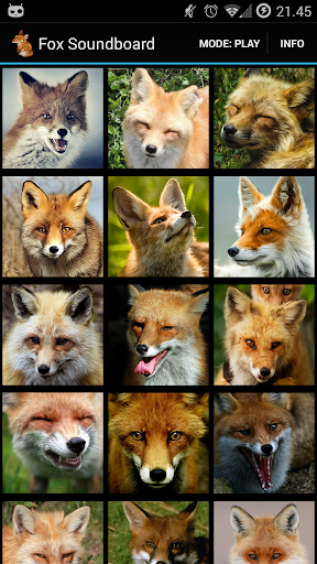 Fox Soundboard