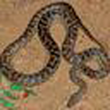 Snake Food logo