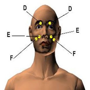 Acupressure Points