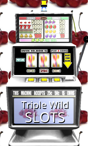 3D Triple Wild Slots