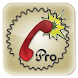 Autoresponder Pro