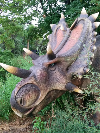 Utahceratop