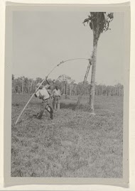 Arbeiders aan het werk op het land