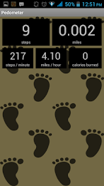 Pedometer by AppNext Level poster 10