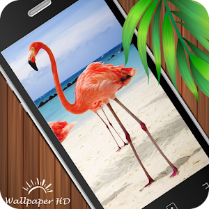 Animal Wallpaper Hd Android Apps On Google Play