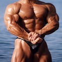 Body Building Workout Program logo