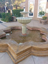 AMLI Fountain