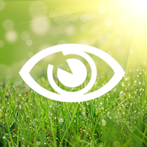 Vision Therapy: Eye Refresh logo