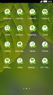 Download Green Leaf C Launcher Theme APK for Android