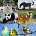 Animal sounds icon