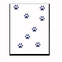 Kitty’s footprint logo