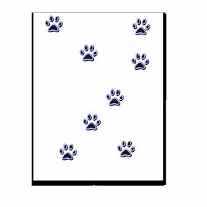 Kitty's footprint 1.0