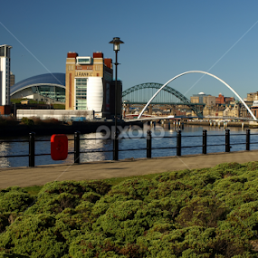 River Tyne by Ray Pritchard - City,  Street & Park Vistas