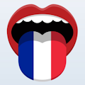 Learn French Phrasebook Pro Apk