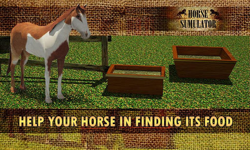 Horse simulator 3D - Free Ride