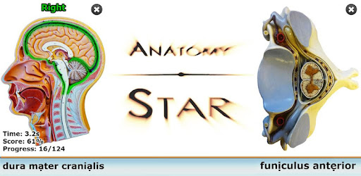 Anatomy Star - CNS (the Brain) -  apk apps