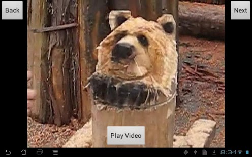 How-To Carve: Simple Bear Head Screenshots 4