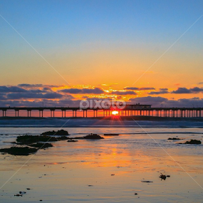 by Roman Gomez - Instagram & Mobile Instagram