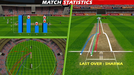 World Cricket Championship Pro poster 6