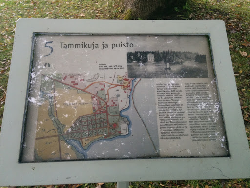 Tammikuja Ja Puisto