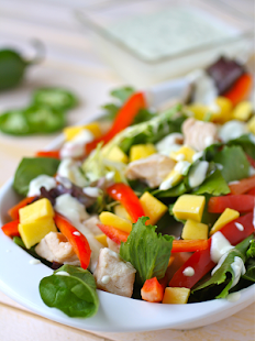 How to get Chicken Salad Recipes 1.0 apk for laptop