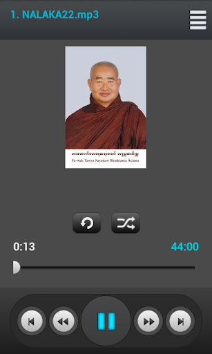 Venerable Pa Auk SayaDaw Vol 2