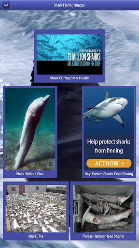 【免費教育App】Shark Bytes-APP點子