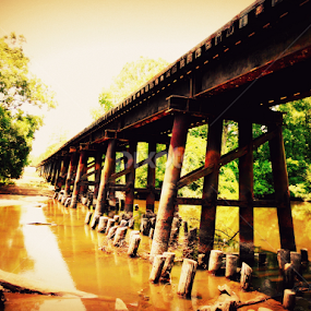 by BJ Williamson - Buildings & Architecture Bridges & Suspended Structures