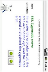 Dental - Head and Neck Anatomy