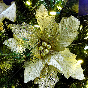 Gold Flower  by Lorie  Carpenter  - Public Holidays Christmas