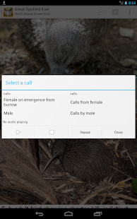 Birds of New Zealand Screenshots 12