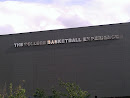 College Basketball Experience