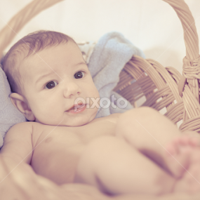 Baby in the basket by Stanica Marius - Babies & Children Babies ( beautiful, basket, baby )