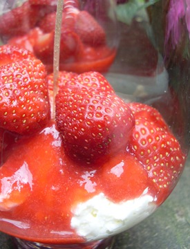 verrine fraises1