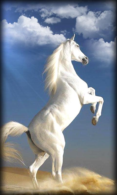 Horse Live Wallpaper - Android Apps on Google Play
