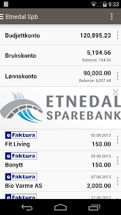 Etnedal Sparebank Screenshots 1