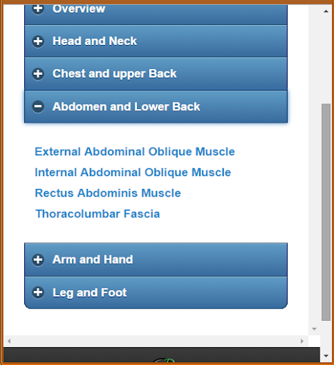 免費下載教育APP|Muscular System(Anatomy) app開箱文|APP開箱王